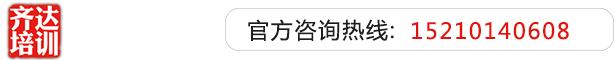 操逼毛片黄片齐达艺考文化课-艺术生文化课,艺术类文化课,艺考生文化课logo